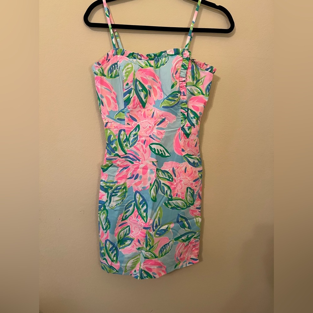 Lilly Pulitzer Size 2 Dress